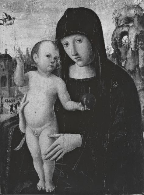 Anonimo — Palmezzano Marco - seguace - sec. XV - Madonna con Bambino bendicente — insieme